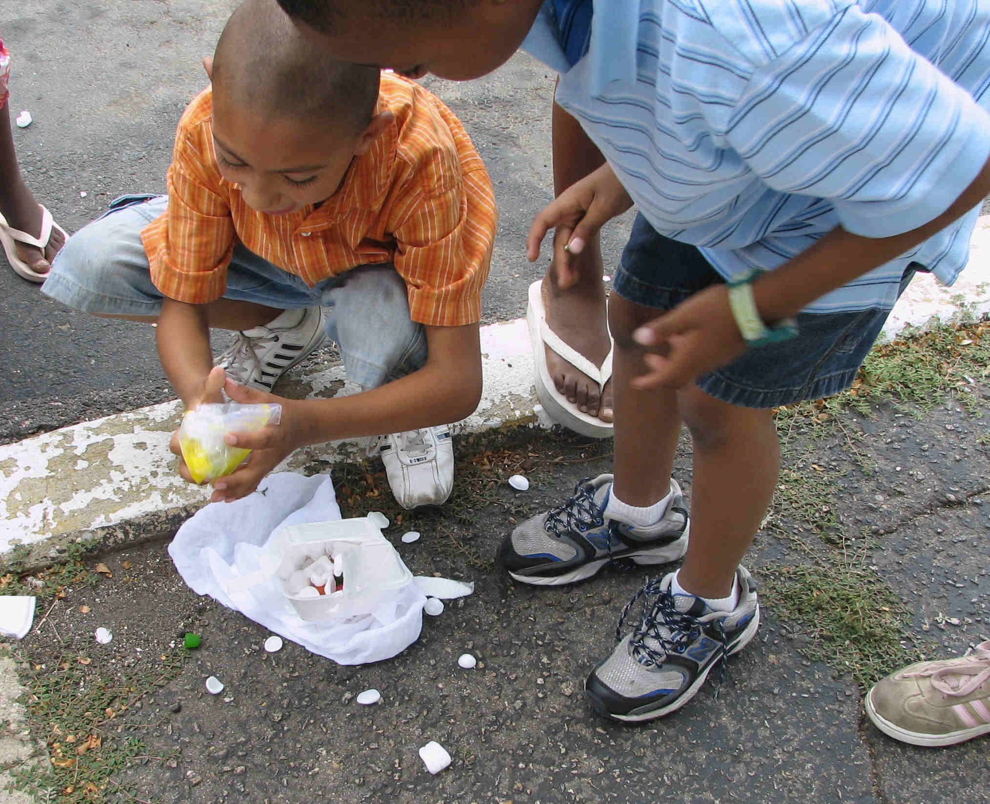 Egg Drop Casualty.jpg (277957 bytes)