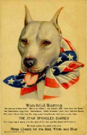 WWI Propaganda poster featuring an American Pit Bull Terrier